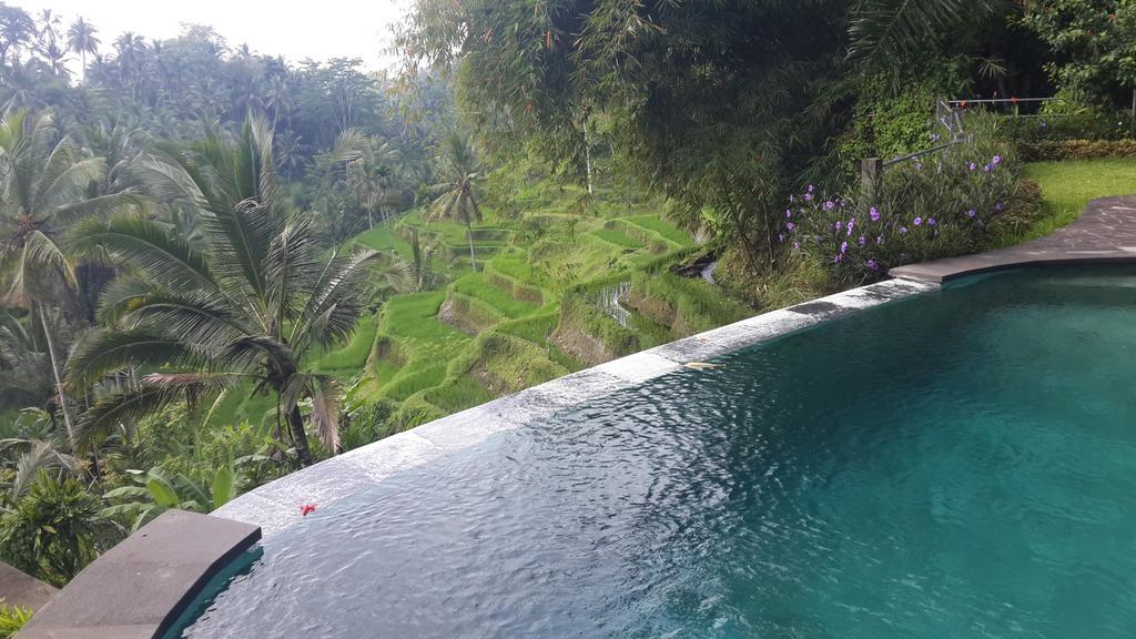 Villa Wedang Tegallalang  Luaran gambar