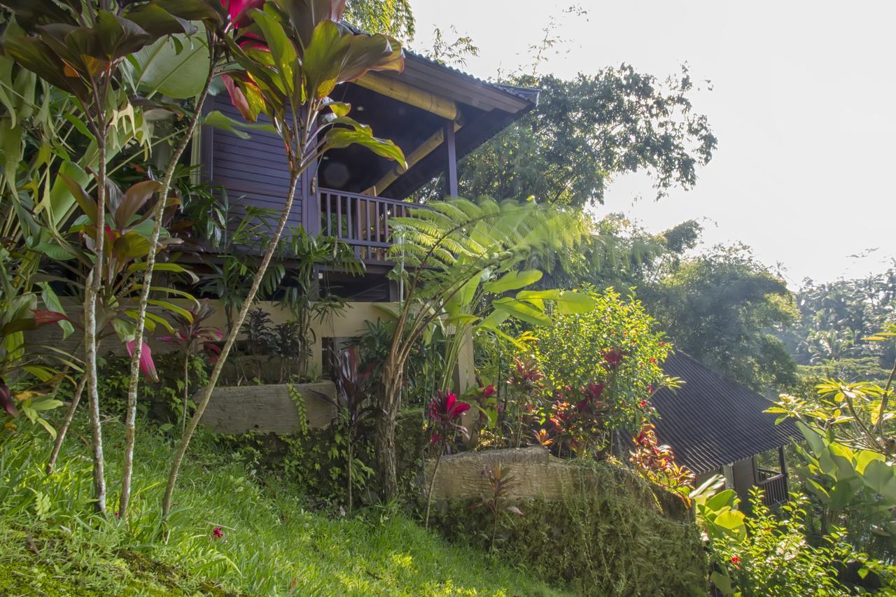 Villa Wedang Tegallalang  Luaran gambar